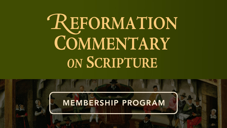 Study Scripture Through the Eyes of the Reformers, One Volume at a Time 