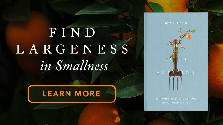 Find Largeness in Smallness  - Learn More