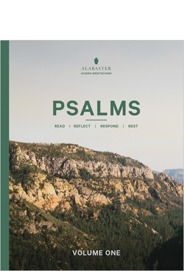 Psalms, Volume 1: With Guided Meditations, Edited by Brian Chung and Bryan Ye-Chung