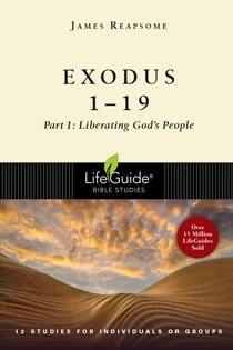 Exodus 1--19: Liberating God's People, By James W. Reapsome