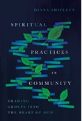 Spiritual Practices in Community: Drawing Groups into the Heart of God, By Diana Shiflett