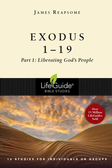 Exodus 1--19: Liberating God's People, By James W. Reapsome